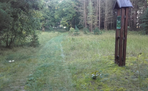 22_+ilin+s pa+intinis takas.jpg